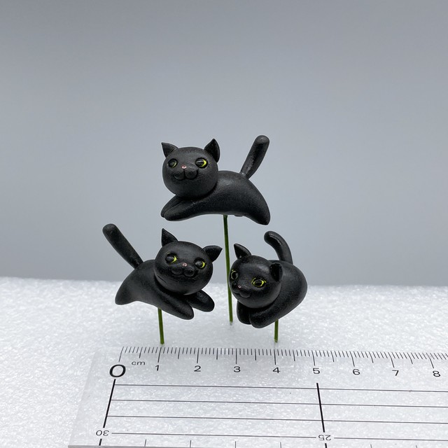 黒猫(3本入り)の画像