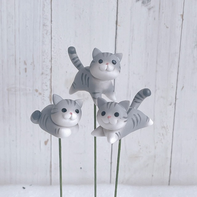 サバトラ猫 3本入りの画像