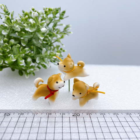 シュナウザー・GY(3本入り)の画像