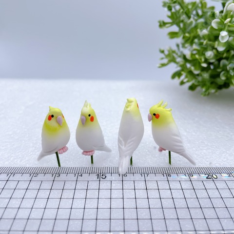 オカメインコ(4本入り)の画像