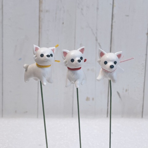 チワワ(3本入り)の画像