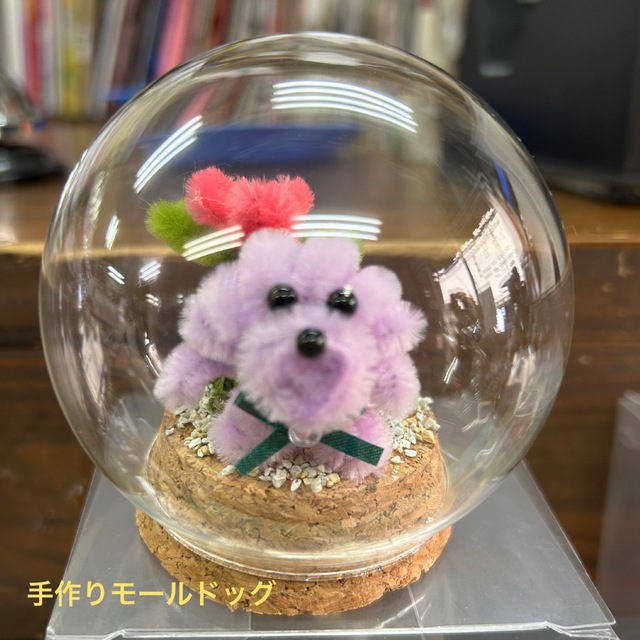 ﾓｰﾙ　ﾄﾞｰﾑの画像