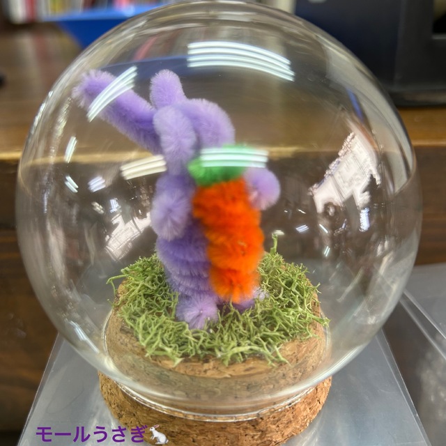 ﾓｰﾙ　ﾄﾞｰﾑ2の画像